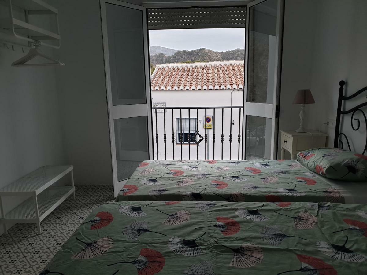 Apartamentos Alma Y Lola 弗里希利亚纳 外观 照片